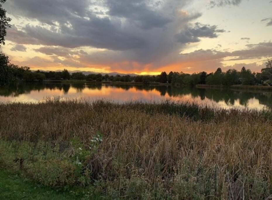 Unique Designer 4 Bed 4 Bath * Denver