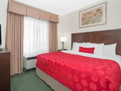 Ramada By Wyndham International Airport Hotel Denver