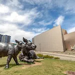 1 Bed Apartment With Parking - Denver Museum District Walk To Convention Center, Capital, Museums And Shops