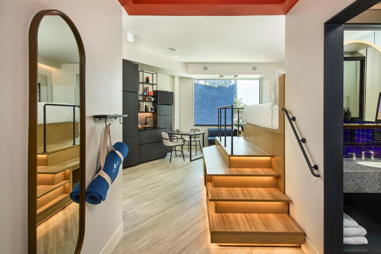 Catbird 4*