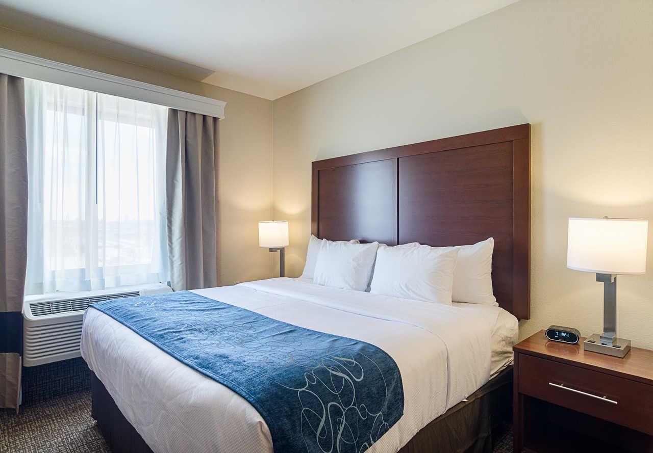 Comfort Near Downtown