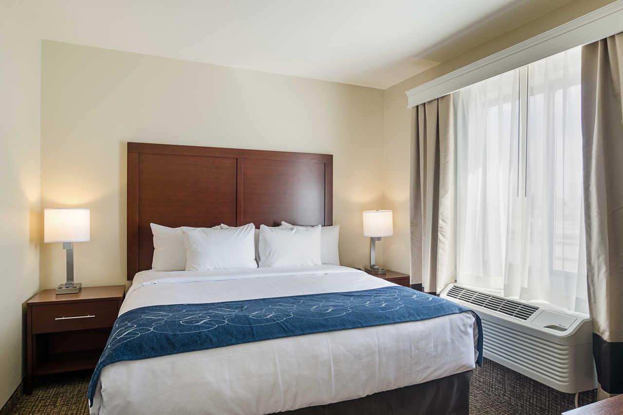 Comfort Near Downtown Hotel