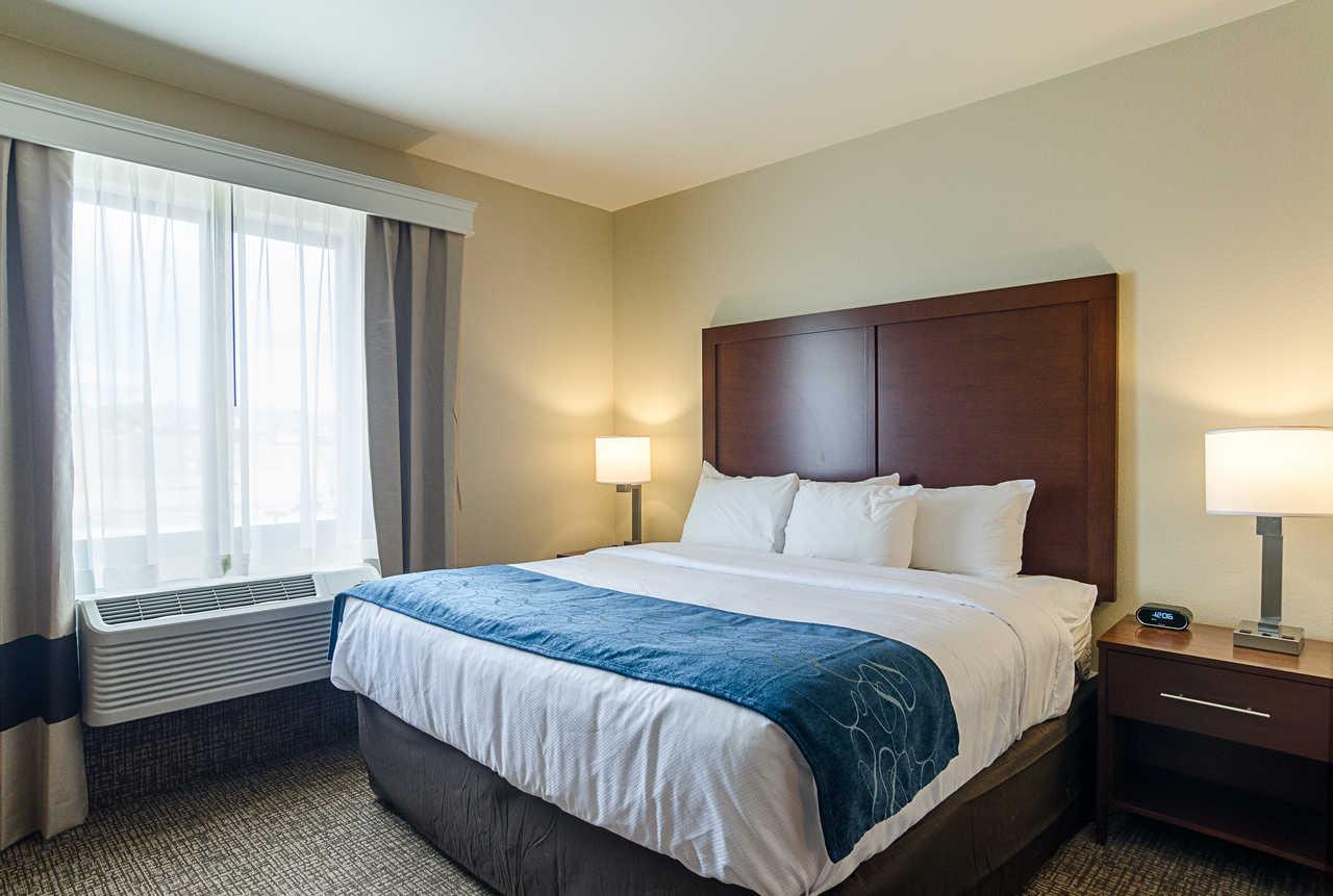 Comfort Near Downtown Denver