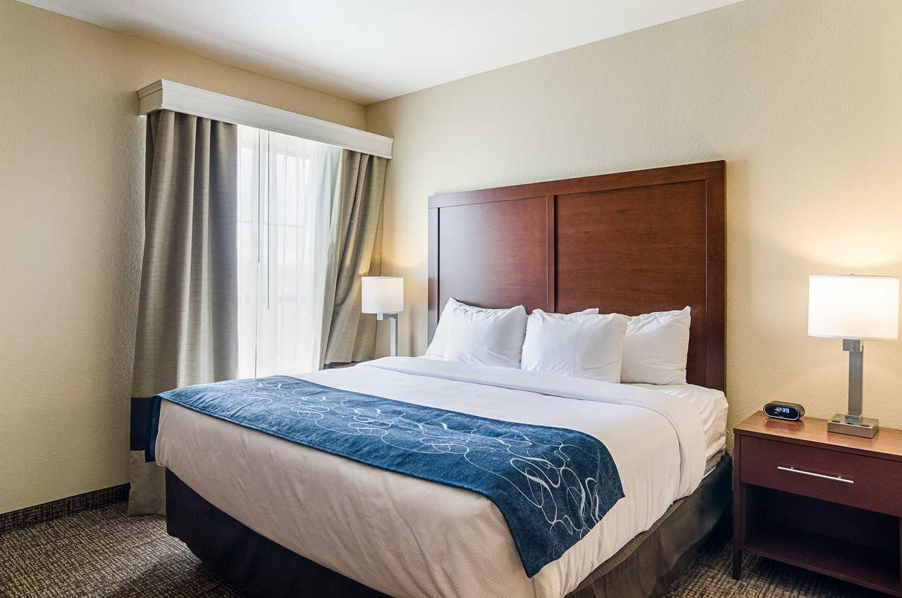 Comfort Near Downtown