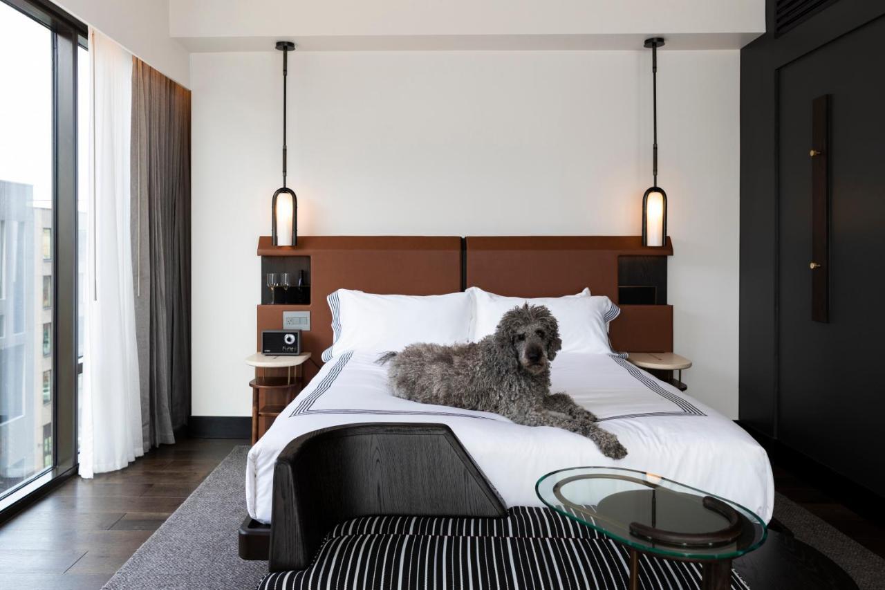 Thompson Denver, By Hyatt Denver