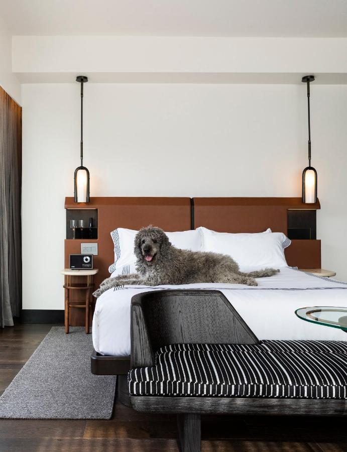 Thompson Denver, By Hyatt 4*