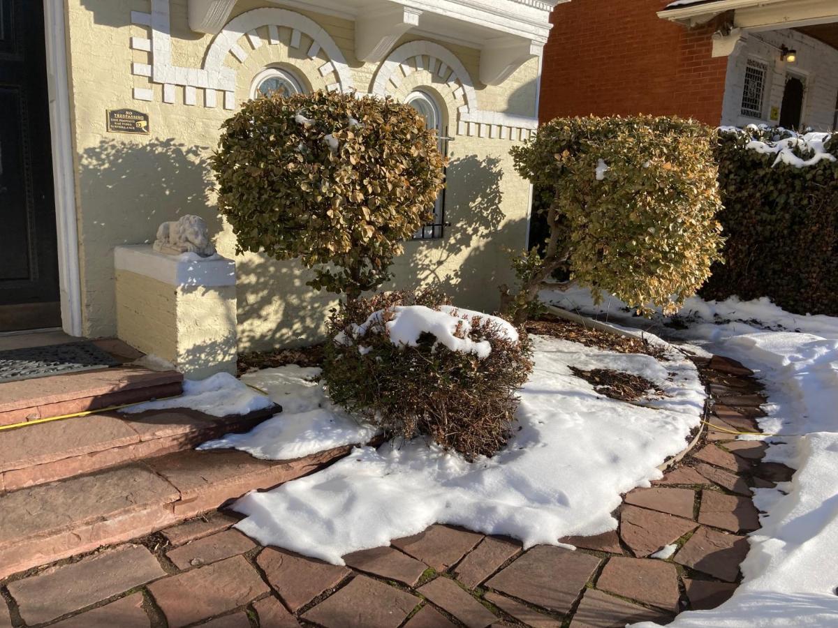 Pineapple House, Spacious 1st Floor Apartment! Center! 96 Walk Score! Free Parking! Apartment