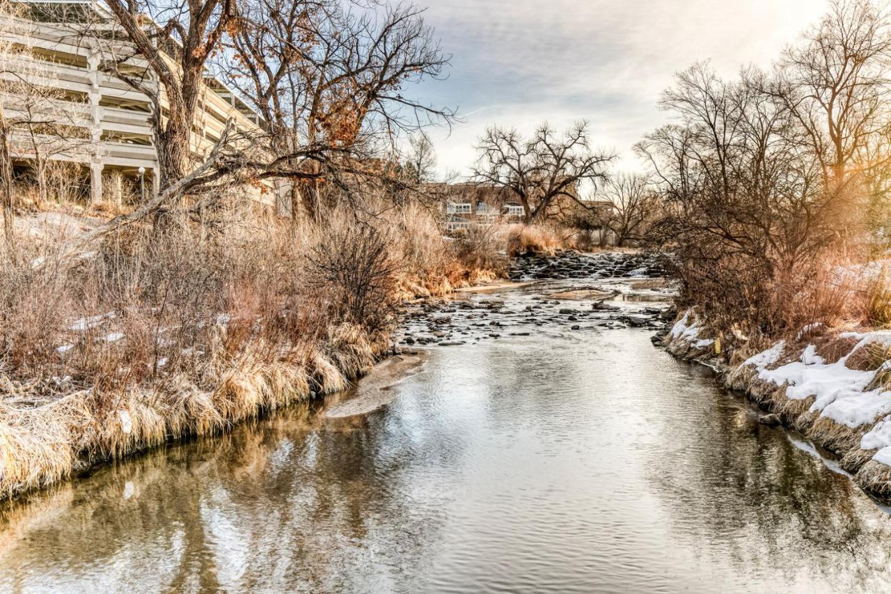 Cherry Creek W Wd Lounge Nr 2nd Ave Den-291 *