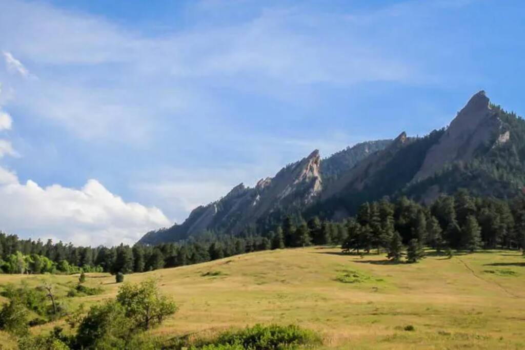 House Of Vibes - Dog Friendly Holiday home Denver