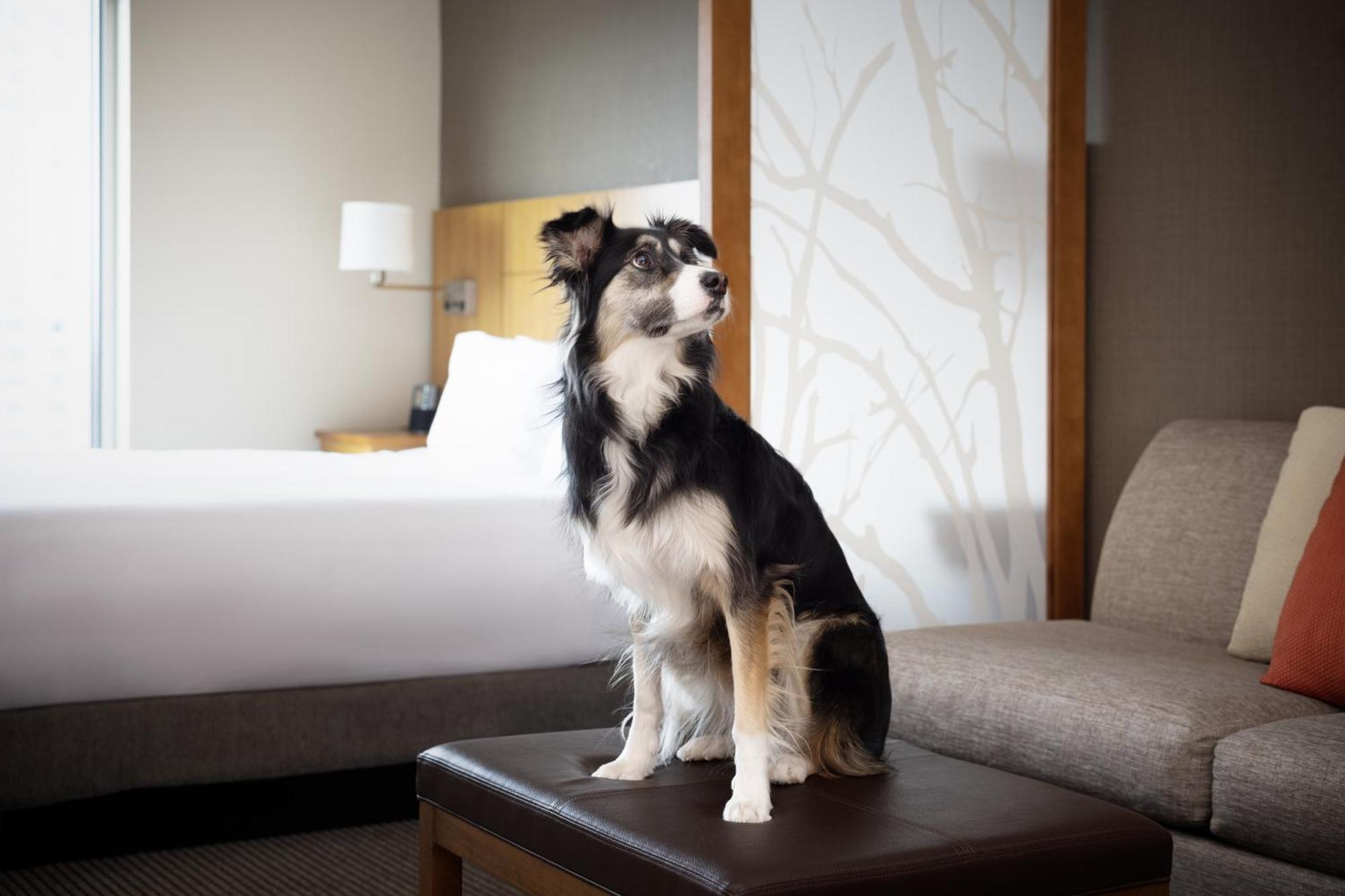 Hyatt Place Downtown Hotel Denver