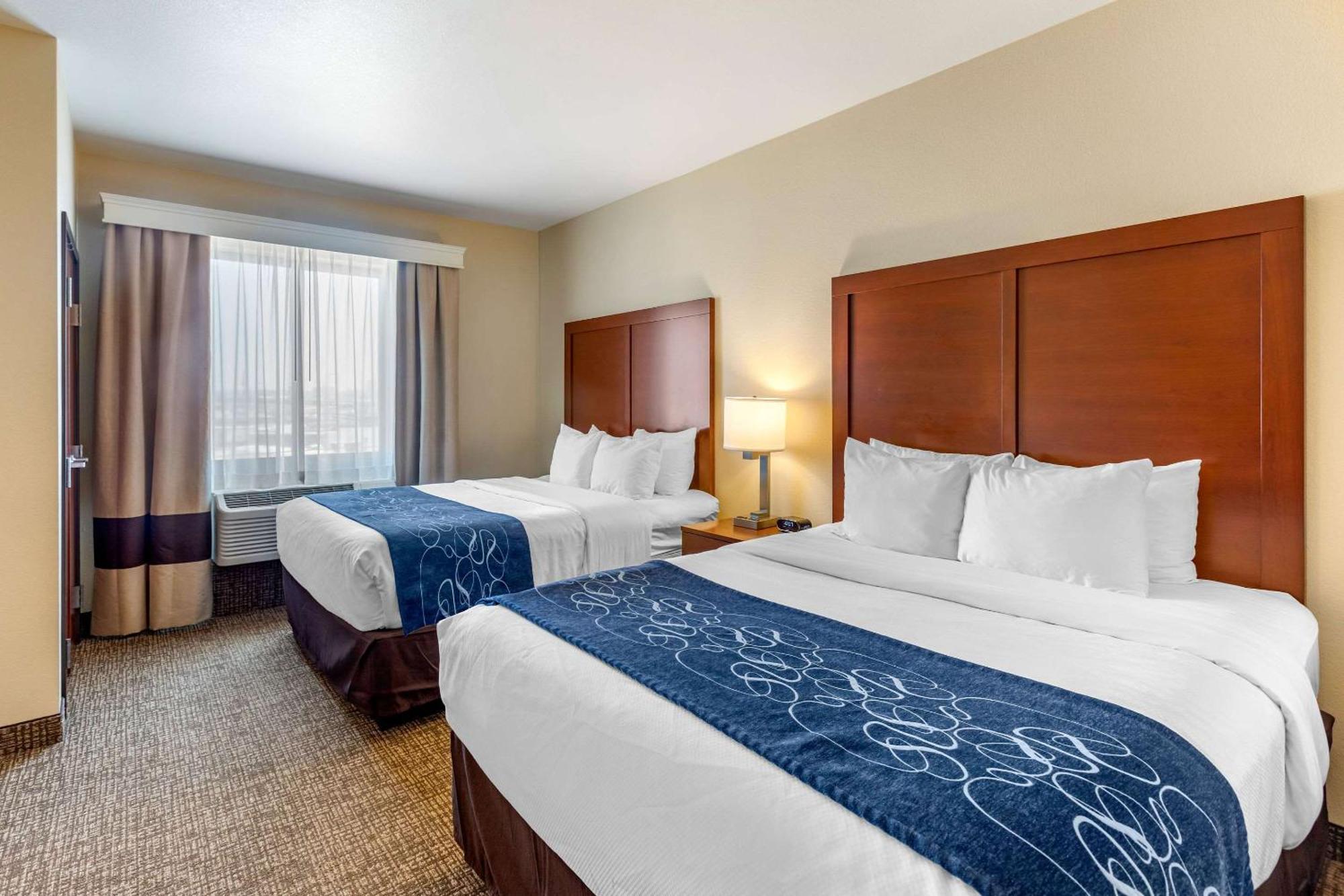 Comfort Near Downtown Hotel