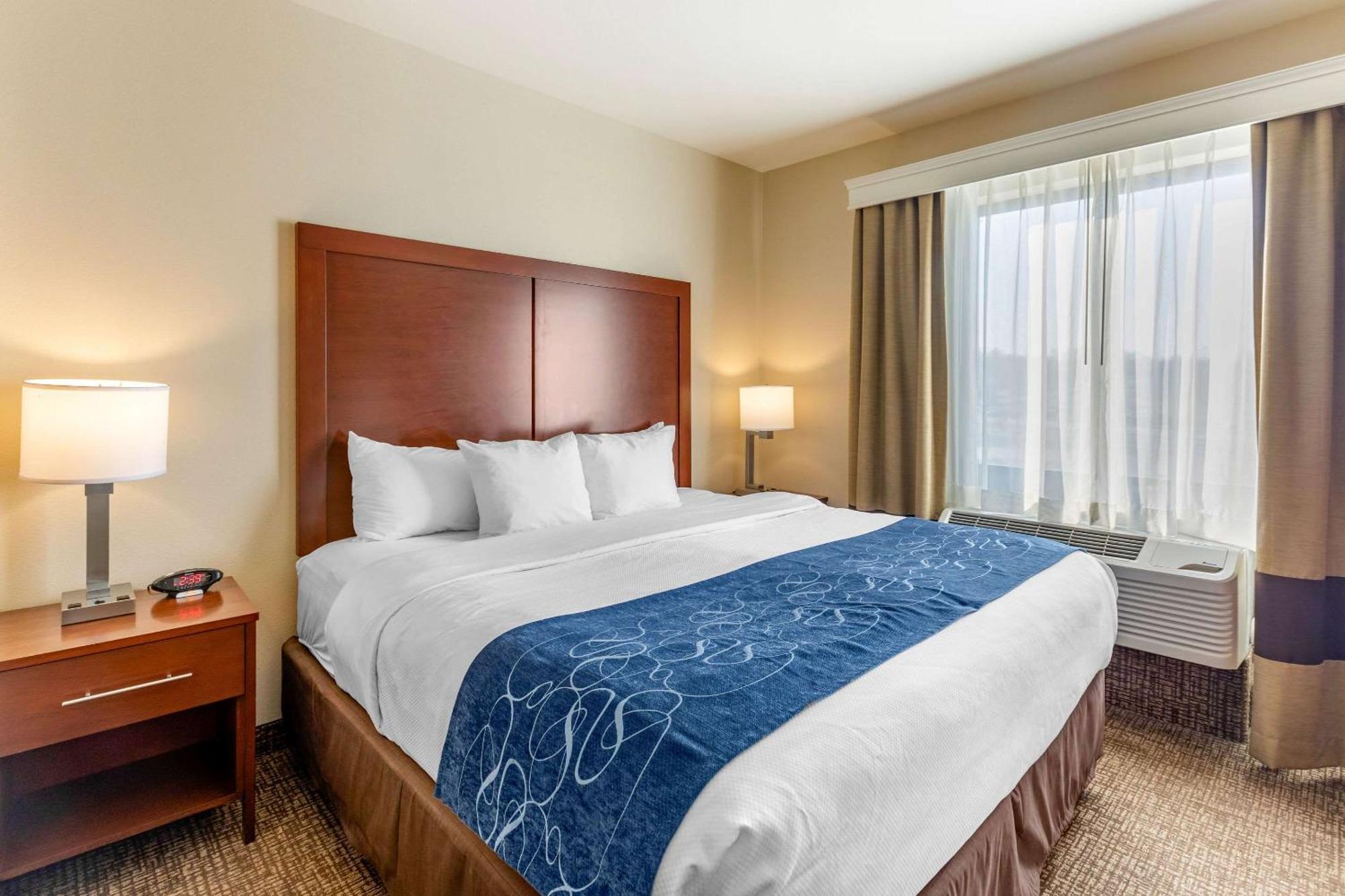 Comfort Near Downtown Hotel Denver