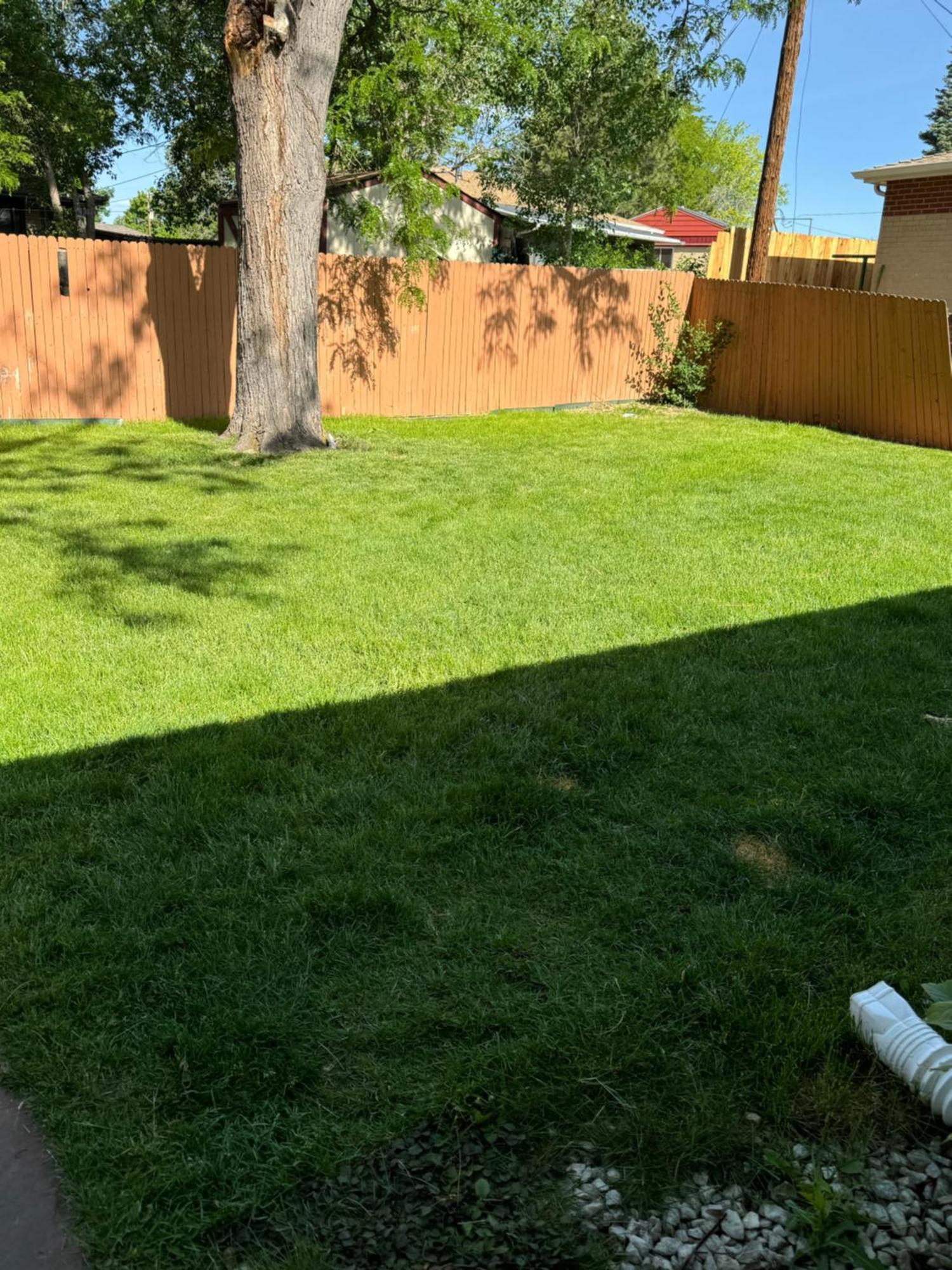 Homestay Shared House In Central Denver-living Queen Sofa Sleeper Denver