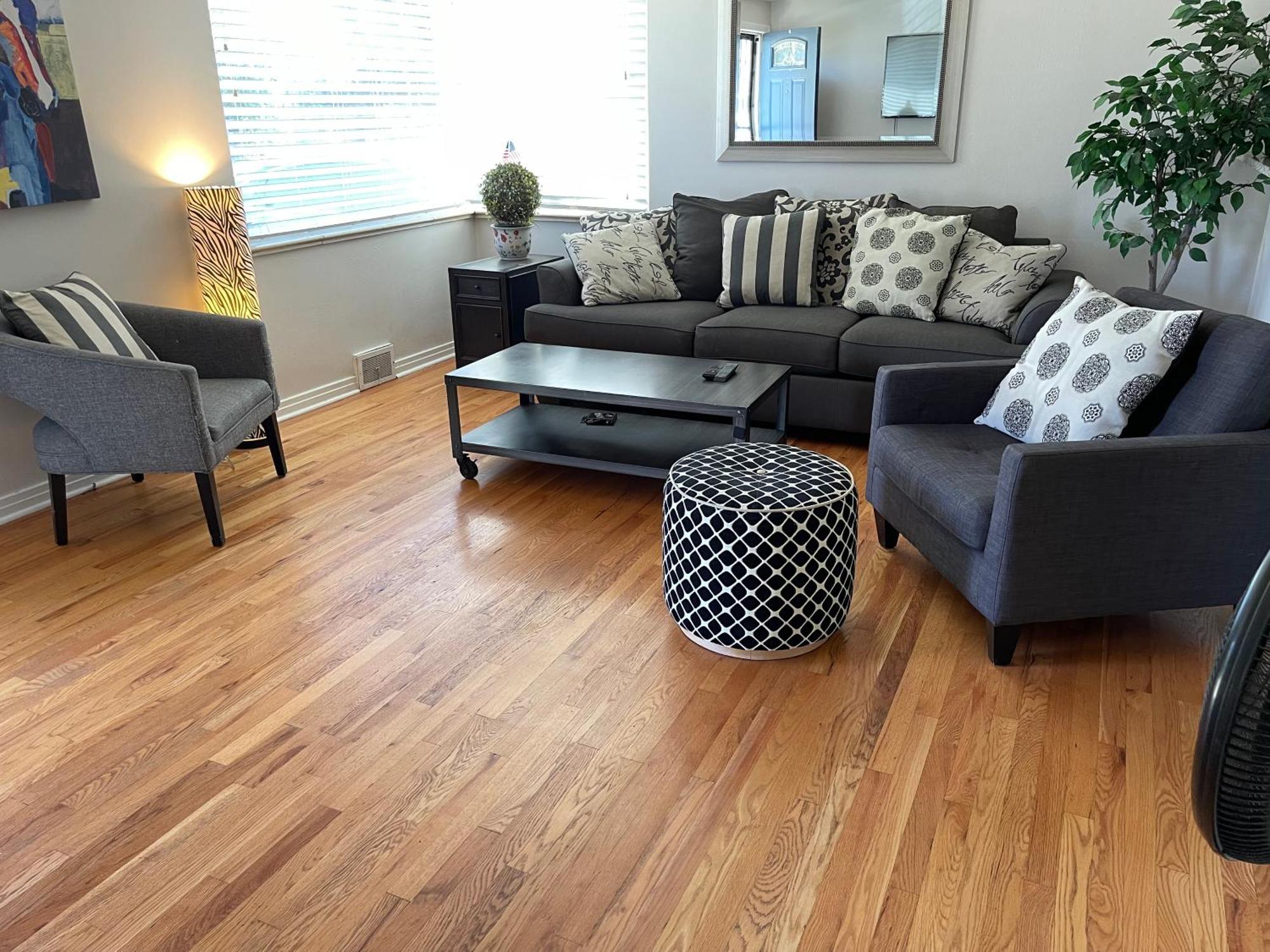 Shared House In Central Denver-living Queen Sofa Sleeper Denver