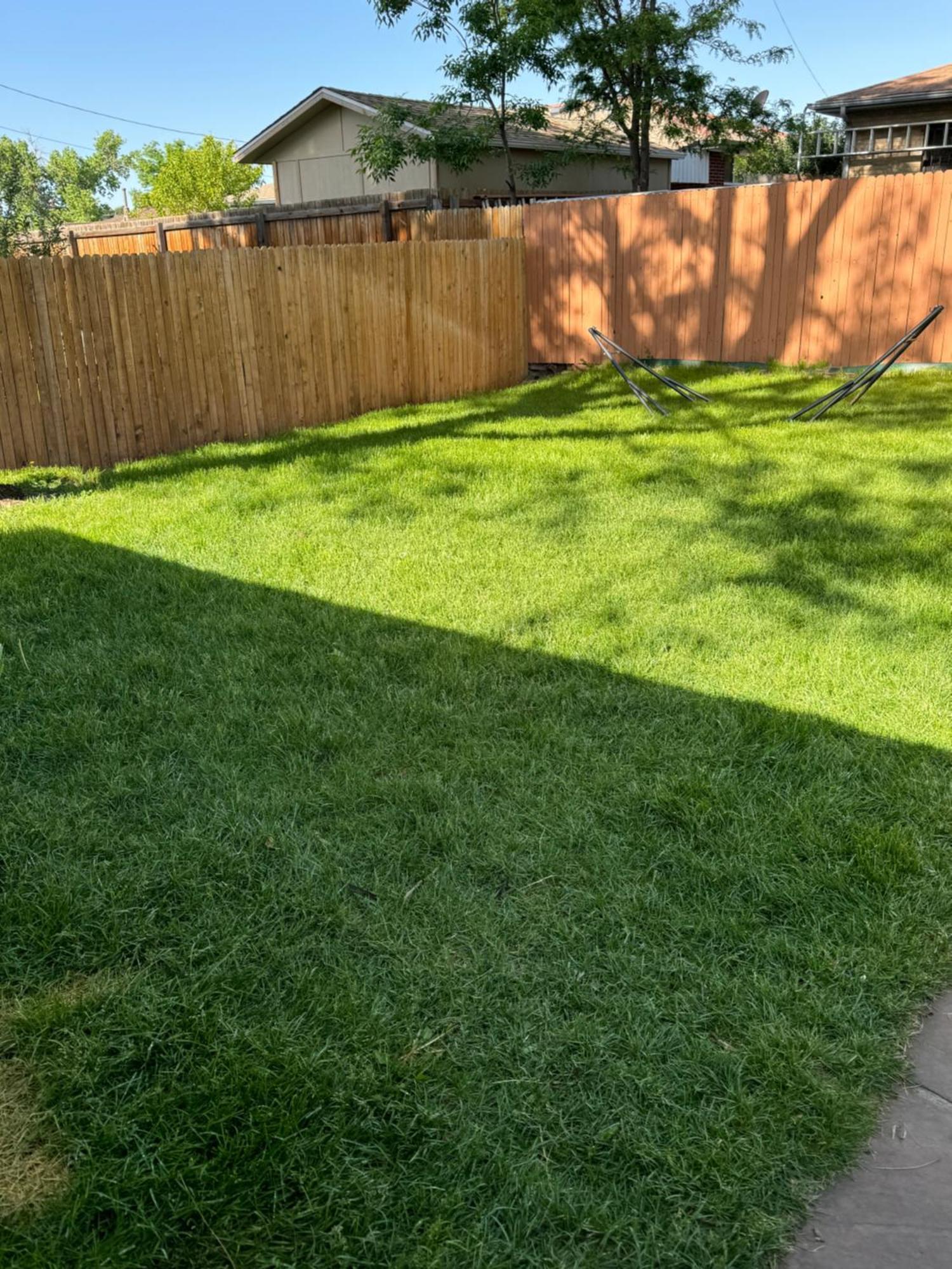 Shared House In Central Denver-living Queen Sofa Sleeper