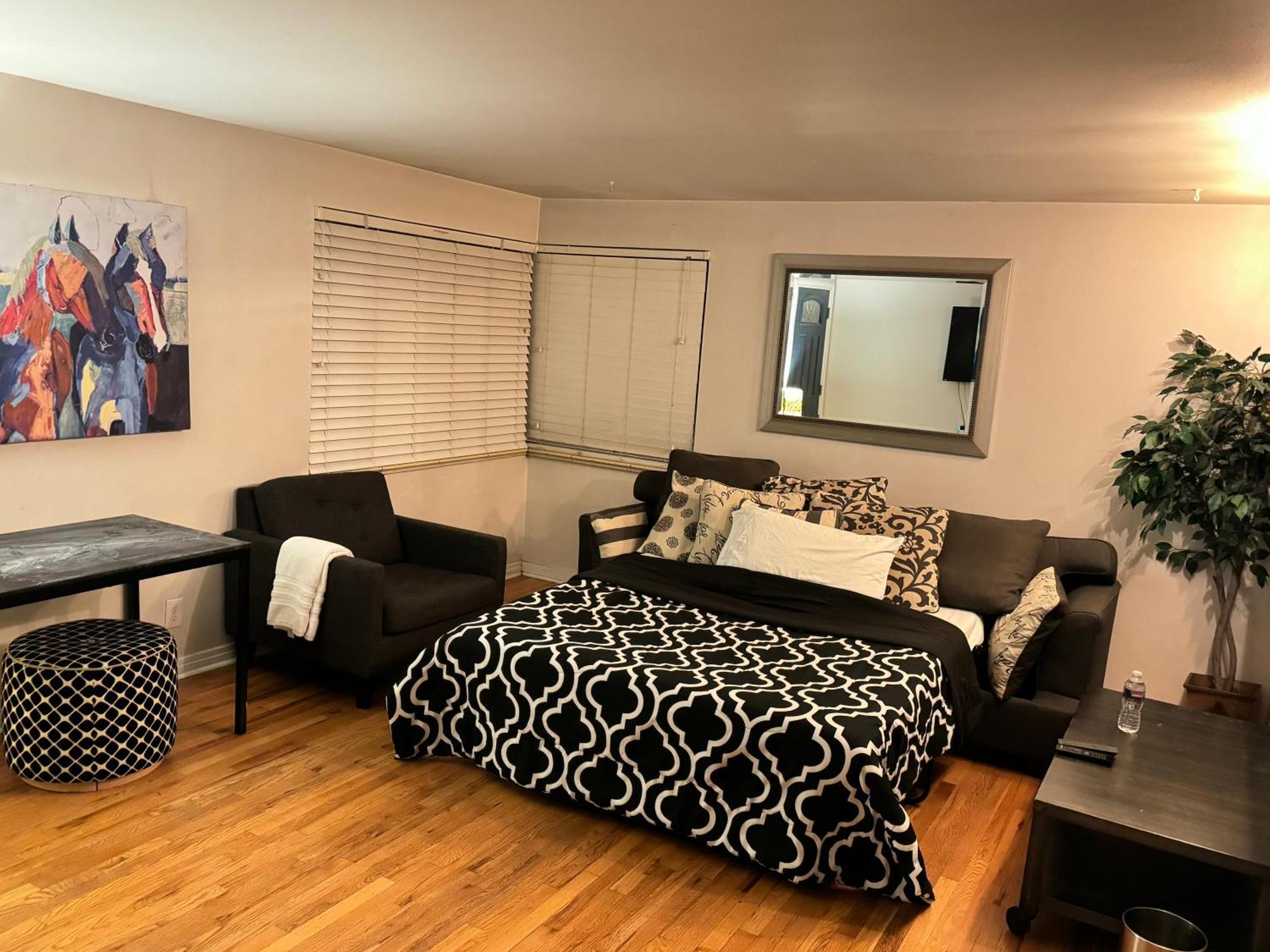 Shared House In Central Denver-living Queen Sofa Sleeper Denver