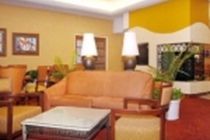 Hotel Holiday Express Downtown By Ihg Denver