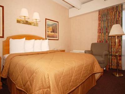 Central Inn Hotel