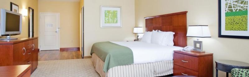 Holiday Express & Airport By Ihg Hotel 3*