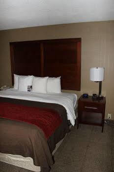 Central Inn Hotel 3*