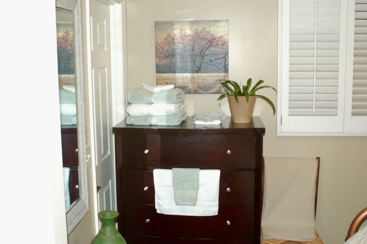 Blue Bear Den 3br 2ba Dtc Private Hot Tub Apartment *