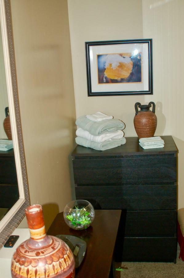 Apartment Blue Bear Den 3br 2ba Dtc Private Hot Tub Denver