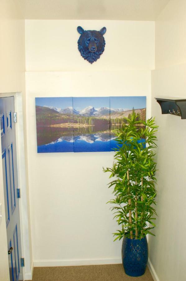 Apartment Blue Bear Den 3br 2ba Dtc Private Hot Tub