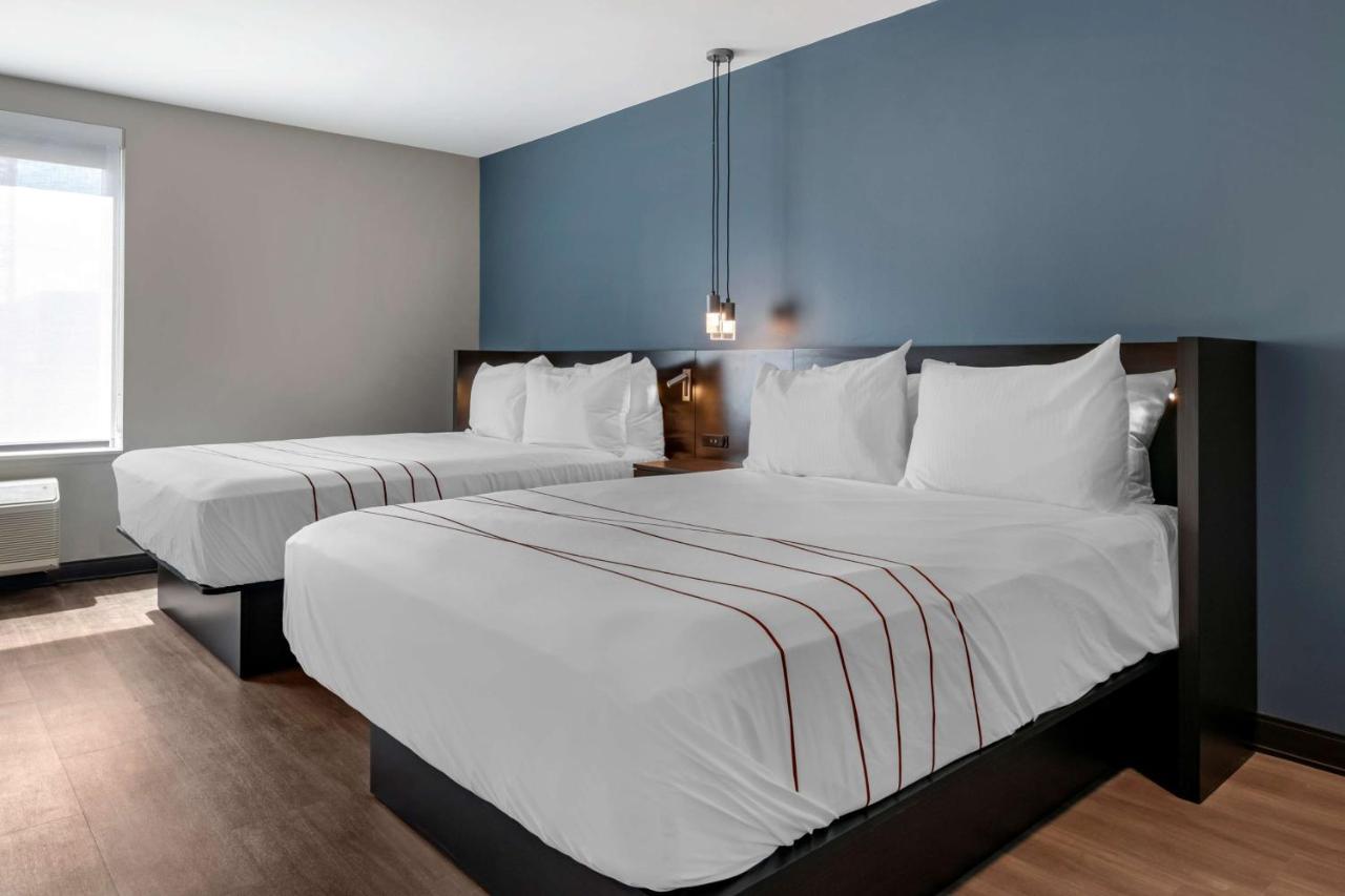 Hotel Vib By Western Rino 3*