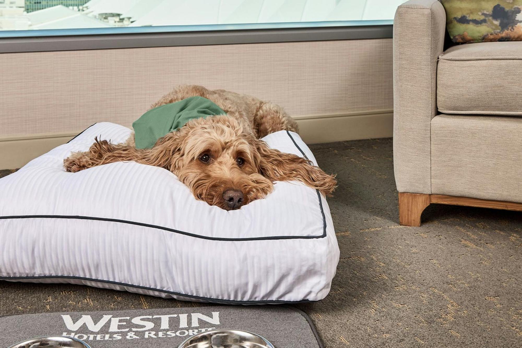 The Westin International Airport 4*